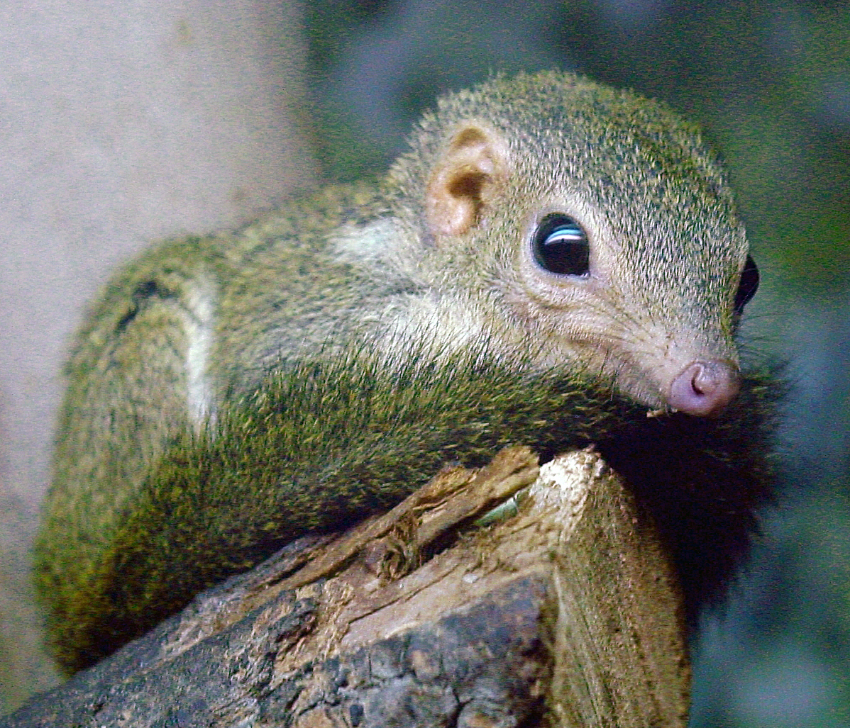 image-20221004090652082