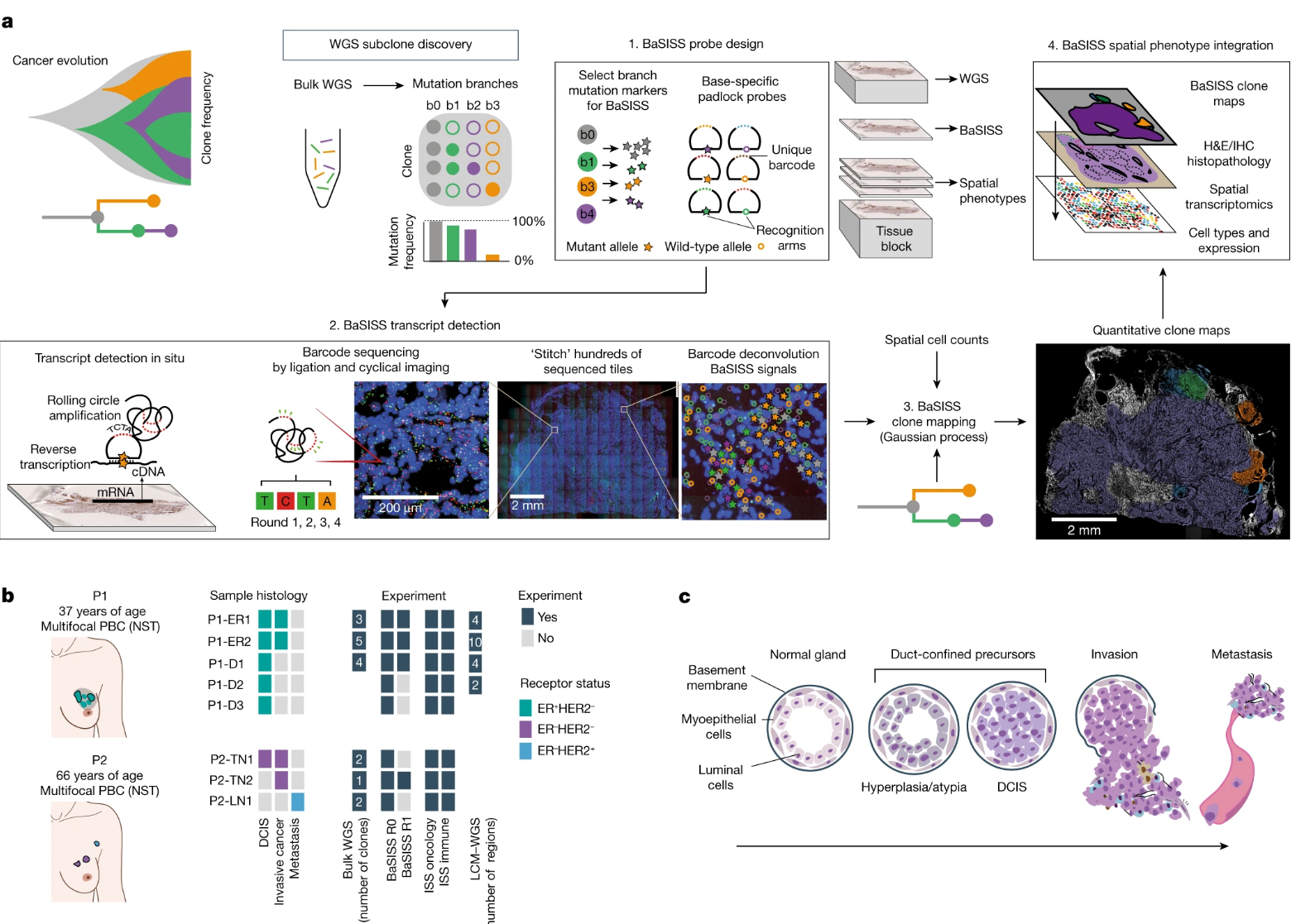 image-20221122205637006