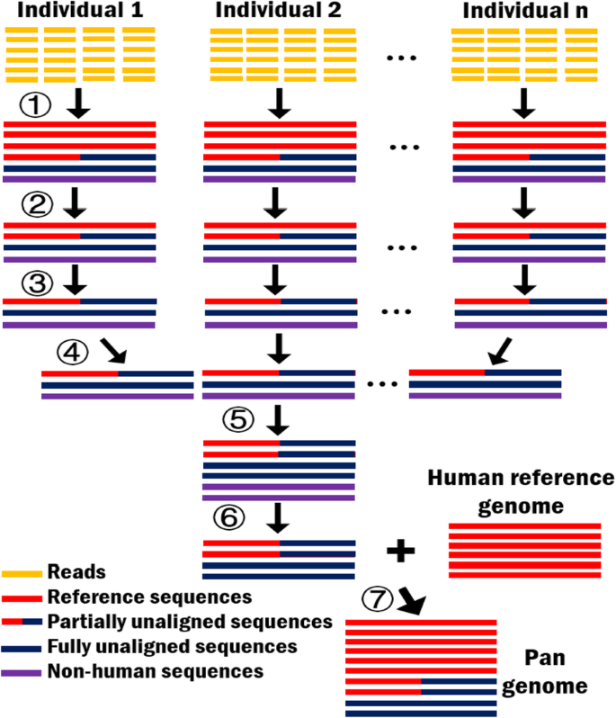 13059_2019_1751_Fig1_HTML