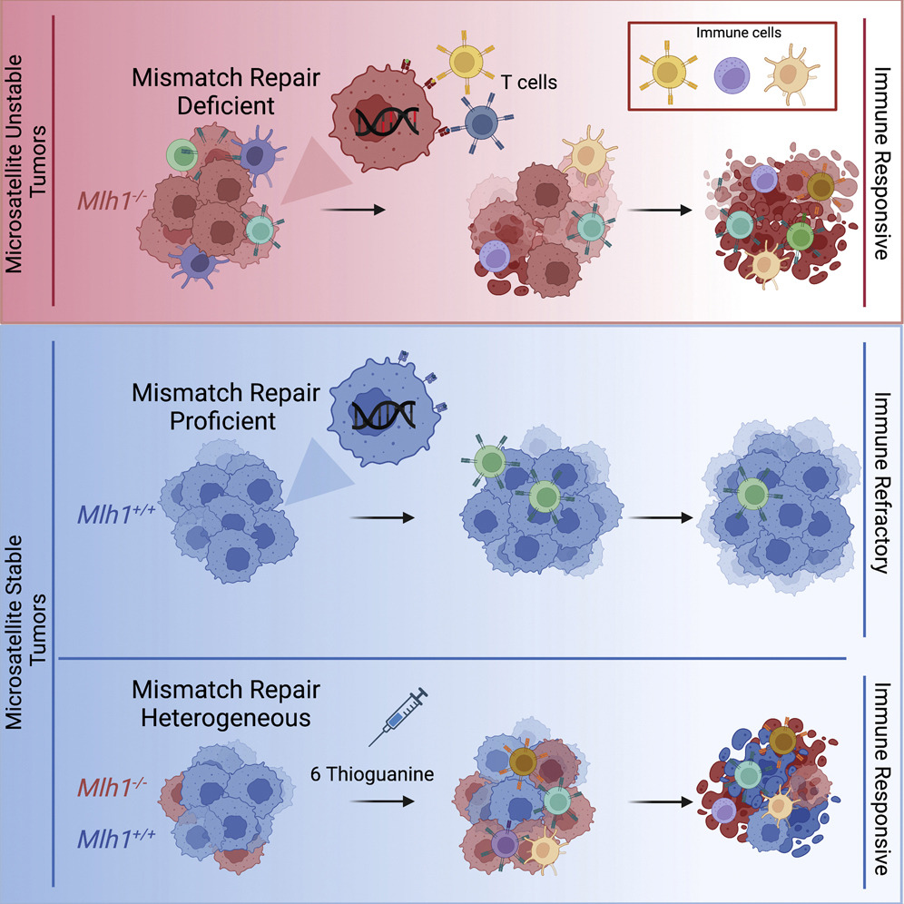 1-s2.0-S153561082200589X-fx1_lrg