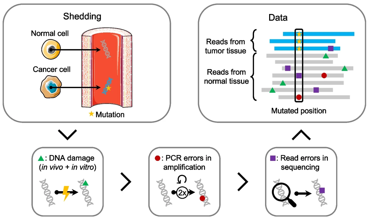 image-20230502084006759