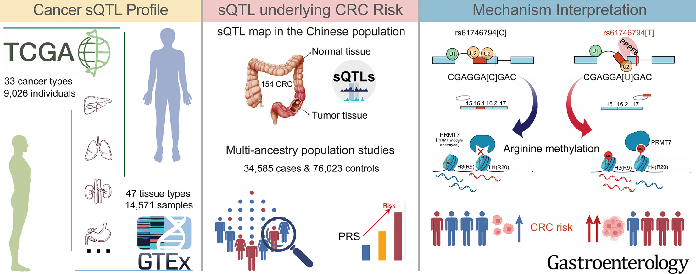 image-20230806093131220