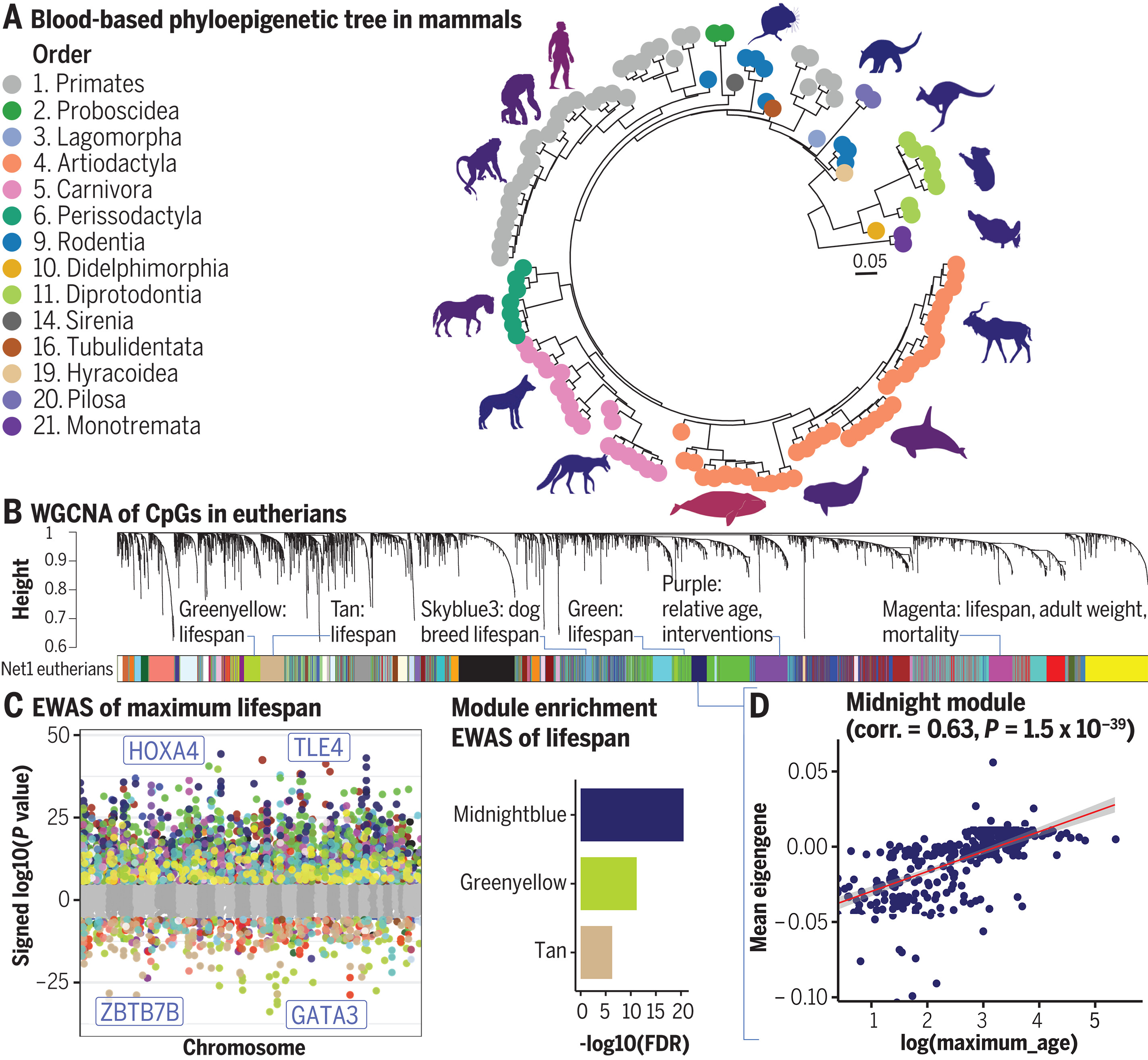 science.abq5693-fa.jpg