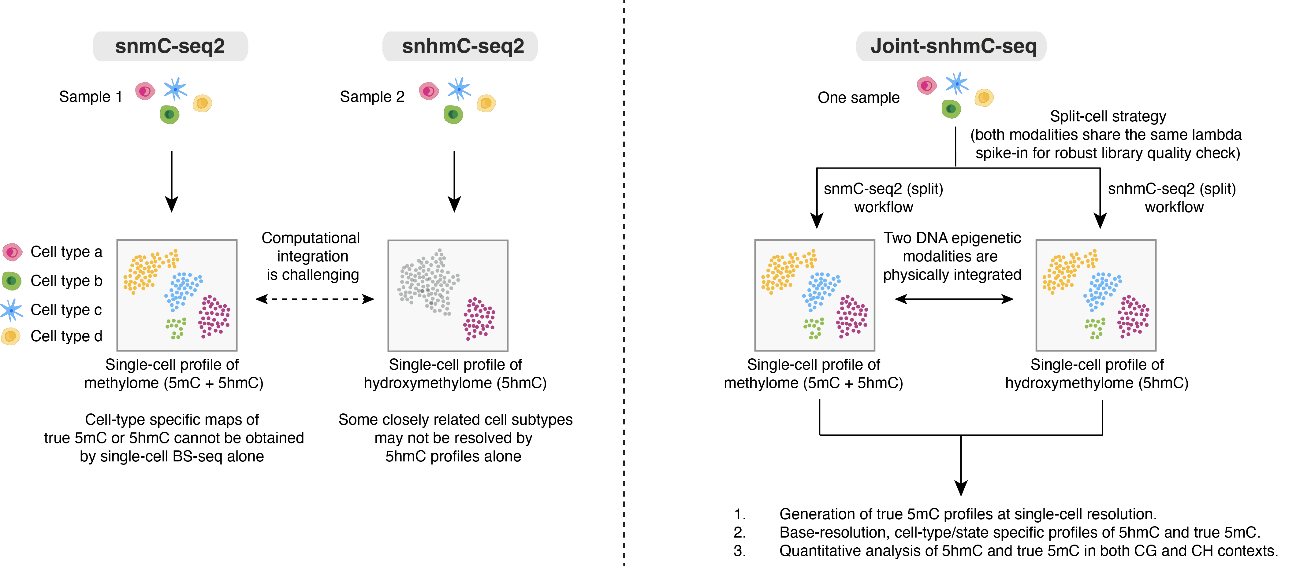 Joint-snhmC-seq_diagram2.png