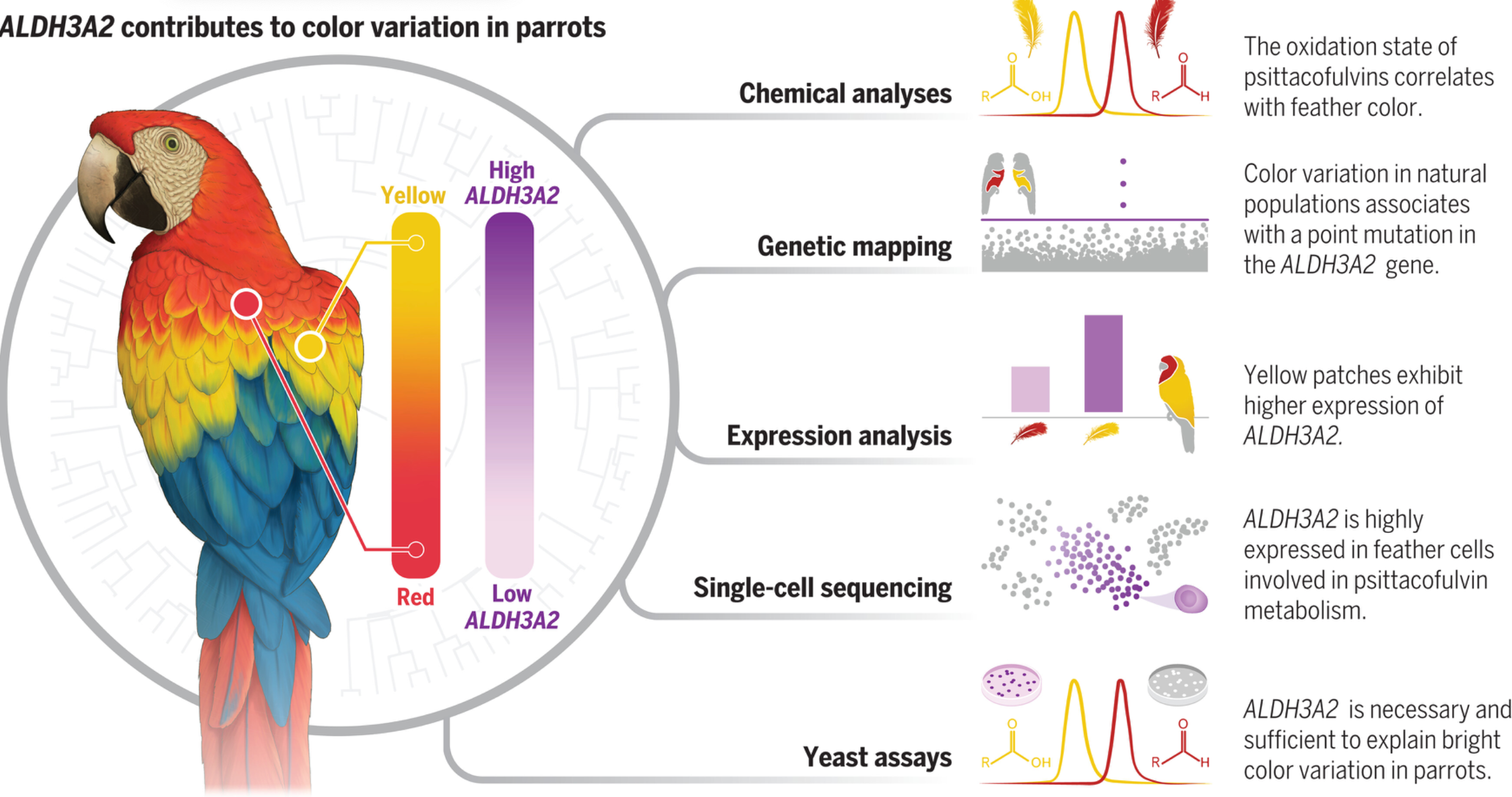 image-20241102113735262