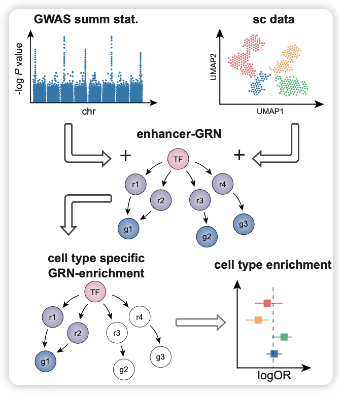 image-20241121121127477