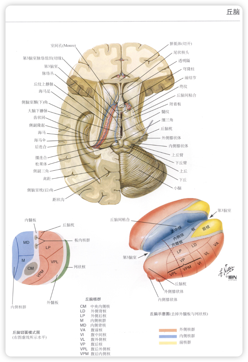 image-20241230073905151