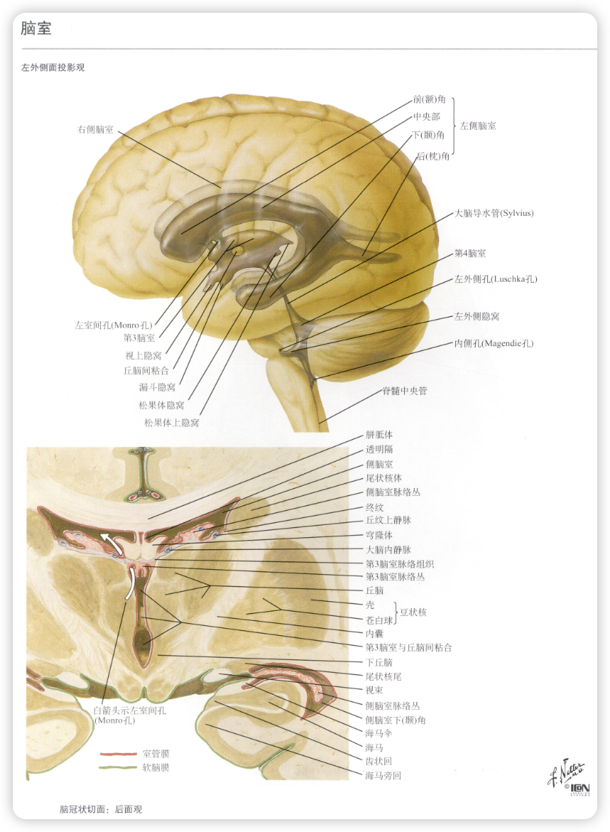 image-20241230113911079