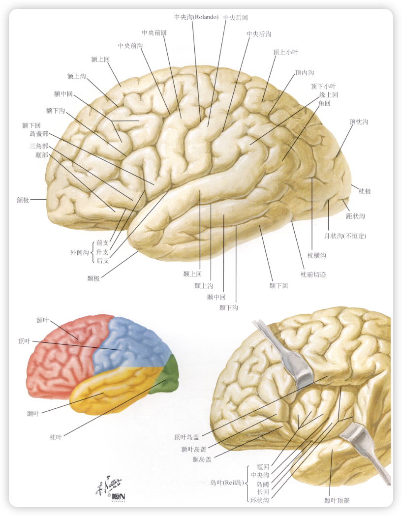 image-20241230114925797