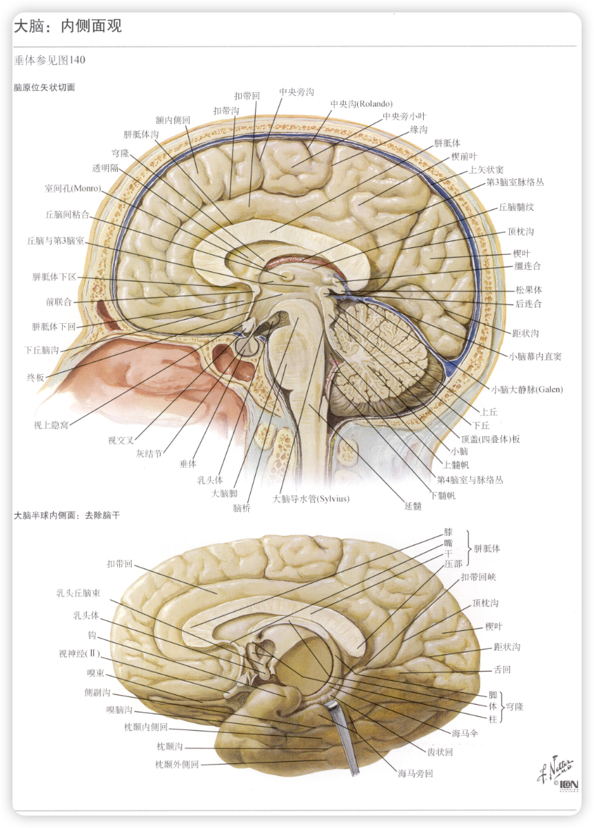 image-20241230114939550
