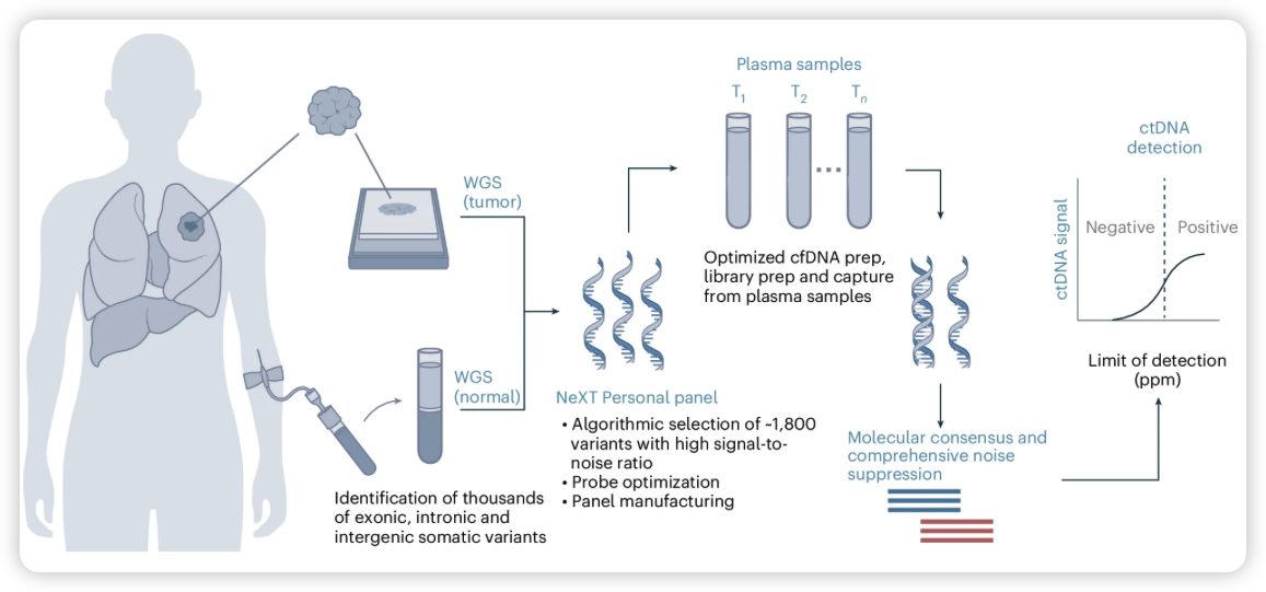 image-20250115202055935