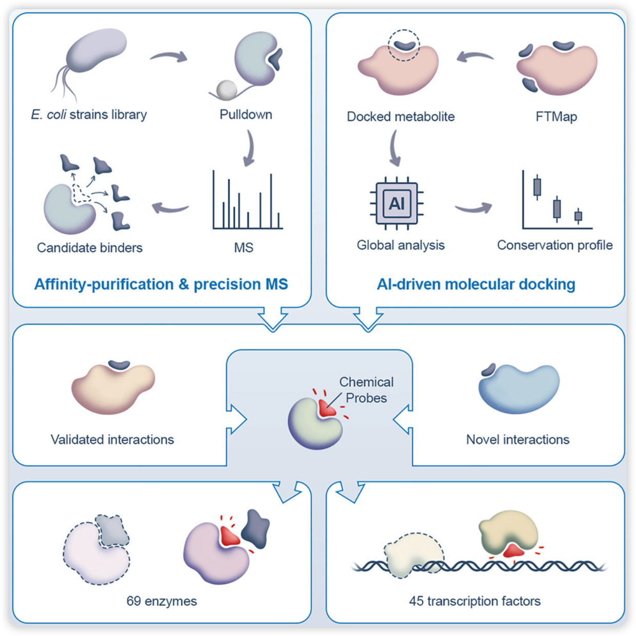 image-20250128121518713