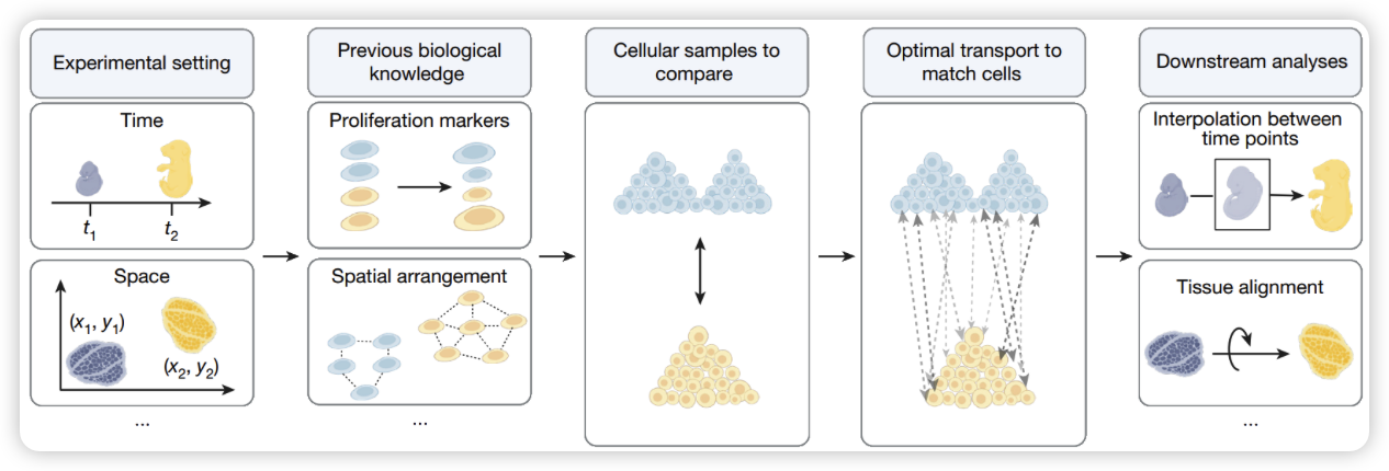 image-20250128123910198