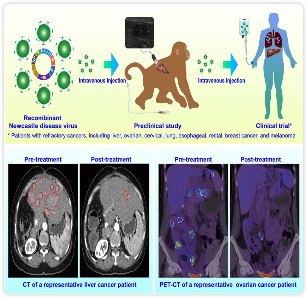 image-20250128132356383