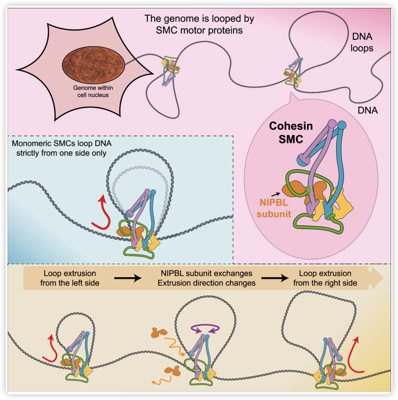 image-20250128134353478