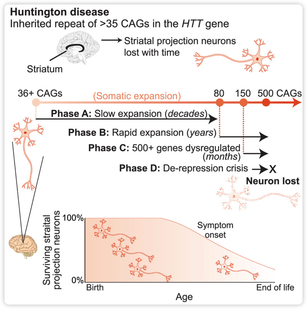 image-20250128135925194