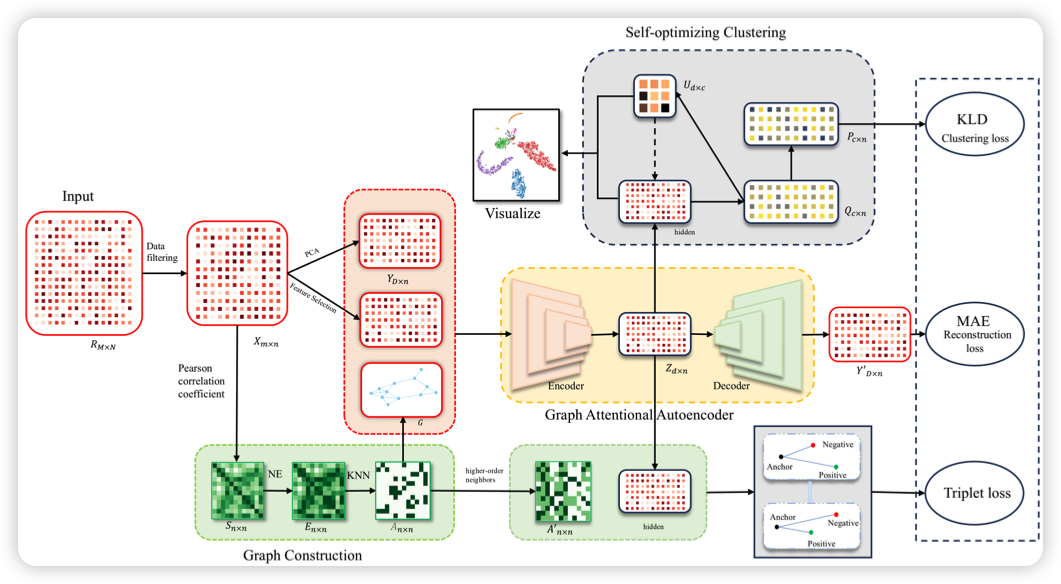 image-20250130065440782