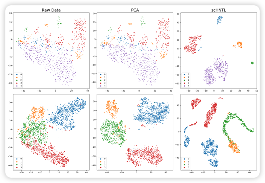 image-20250130065635254