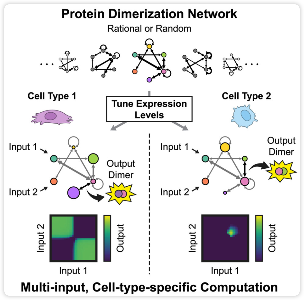 image-20250222172528447