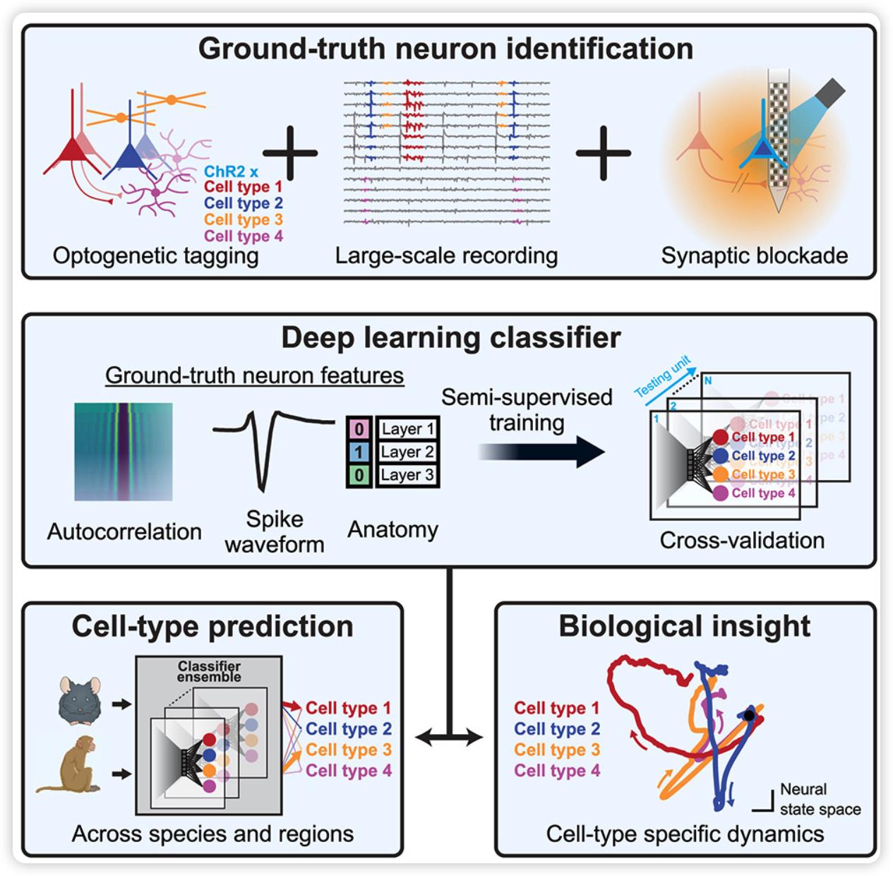 image-20250305191443501