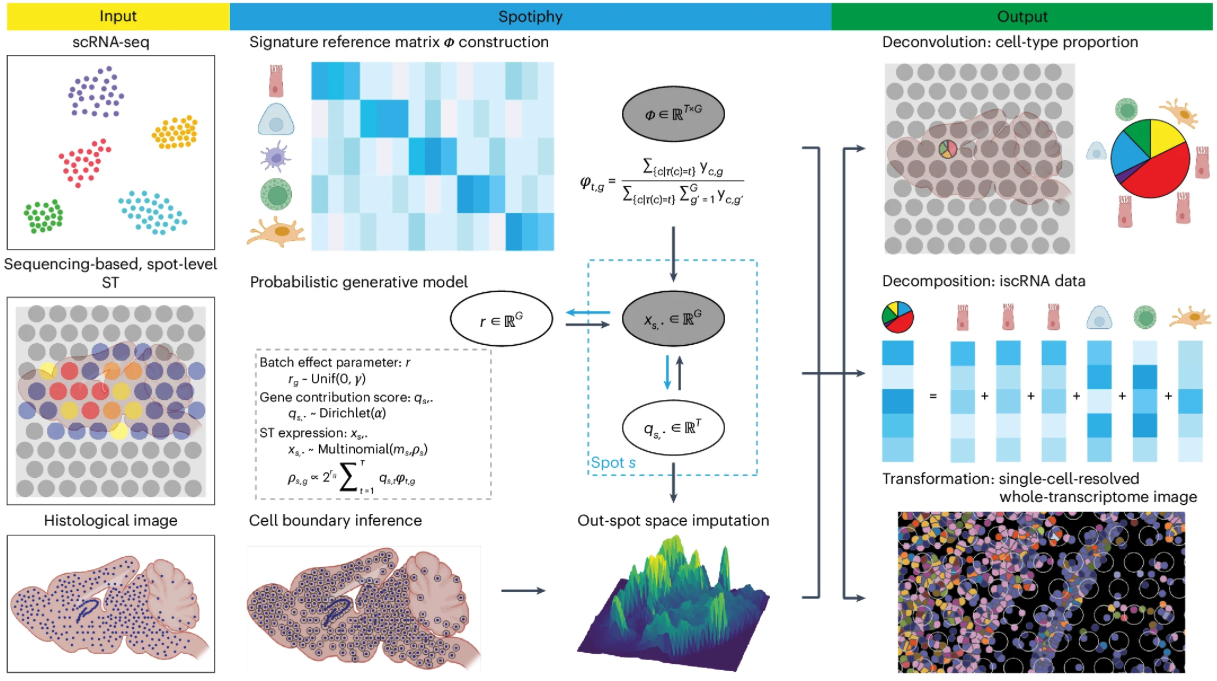 image-20250315214208408