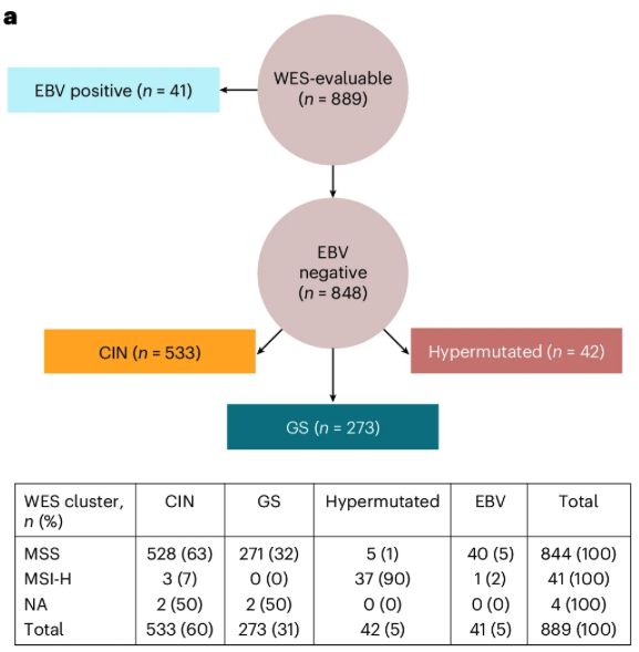 image-20250315215706809