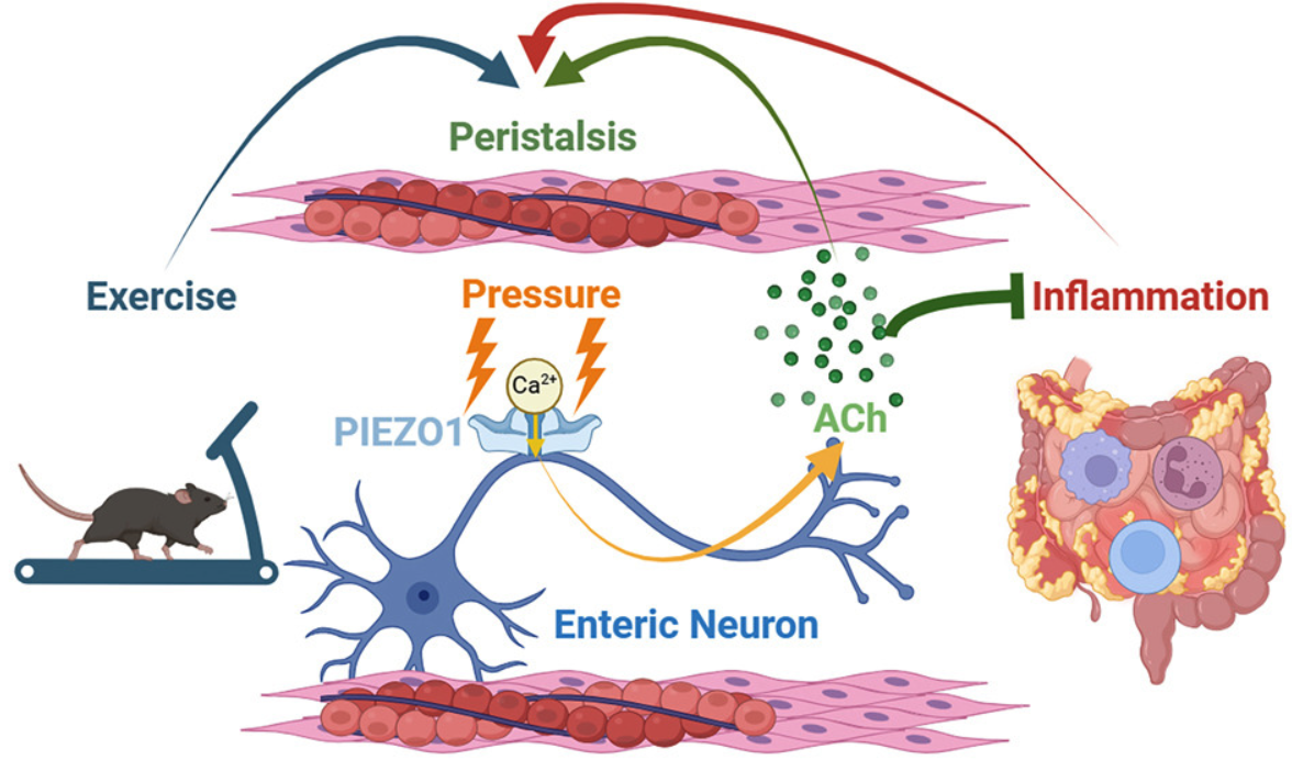 image-20250328155920156