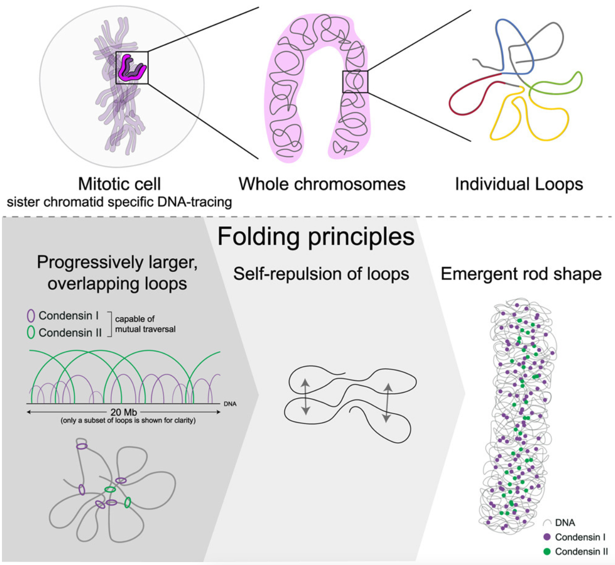 image-20250328160538543