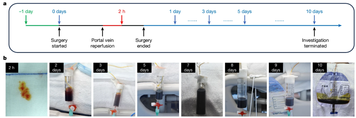 image-20250328161748484