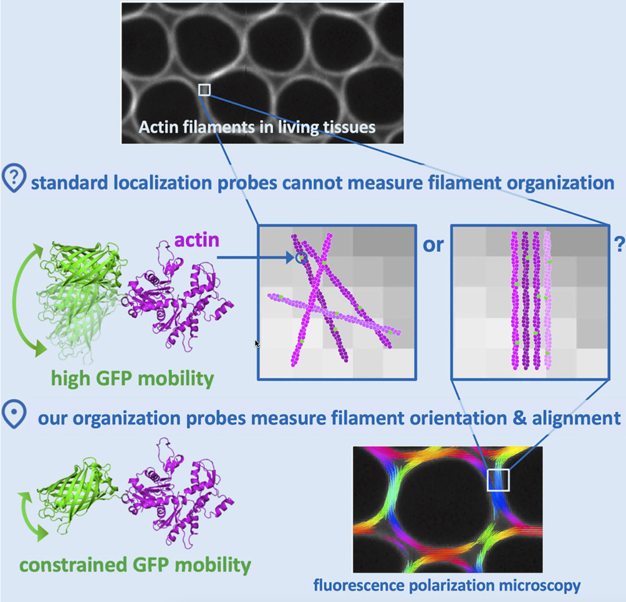 image-20250405084201192