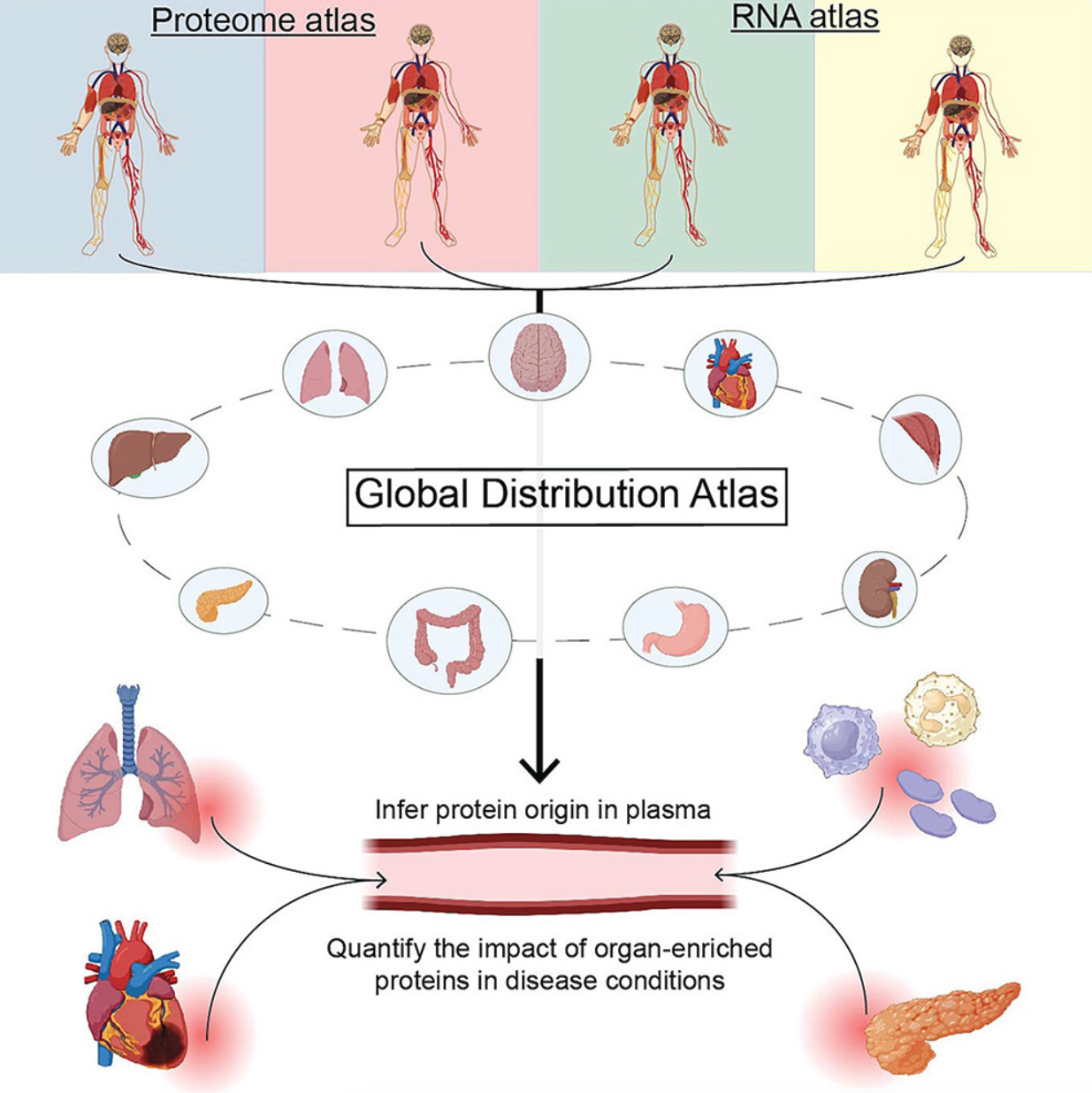 image-20250411165708739