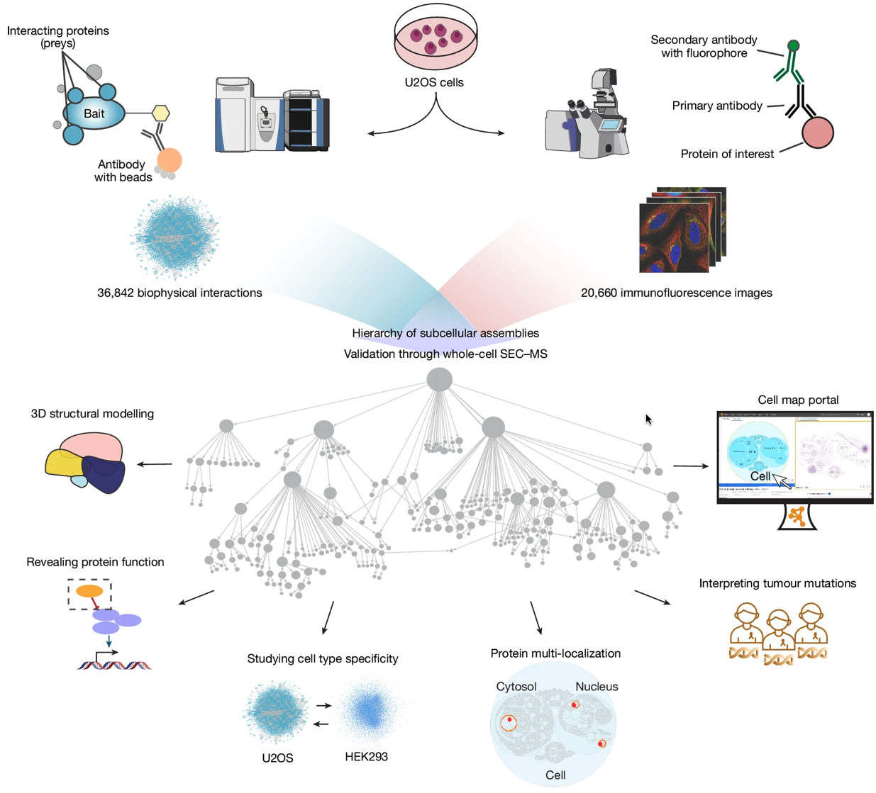 image-20250411175027645