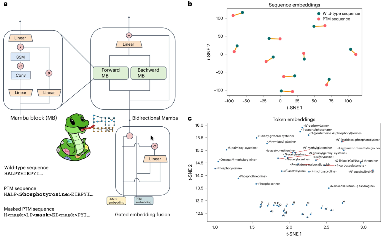 image-20250412073007669