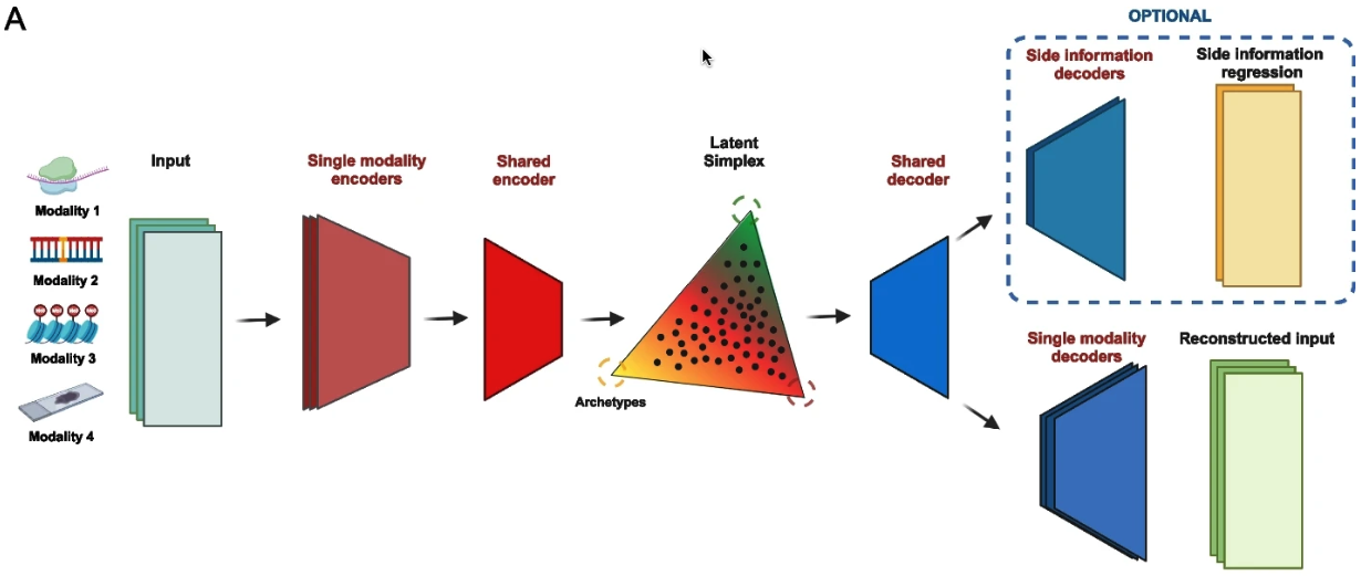 image-20250412094806014