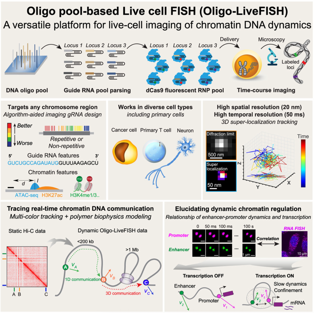 image-20250419115953309