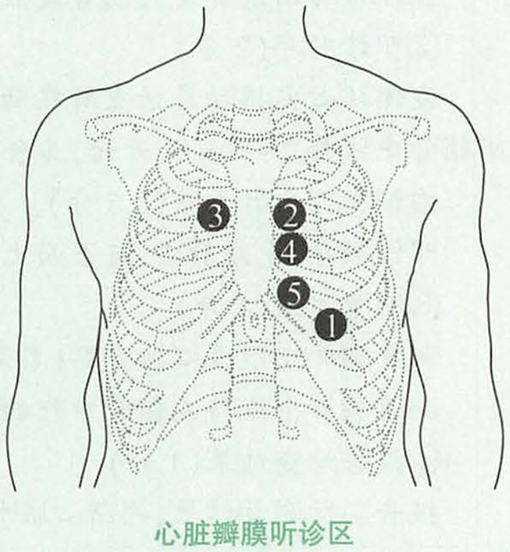 image-20250503113720070