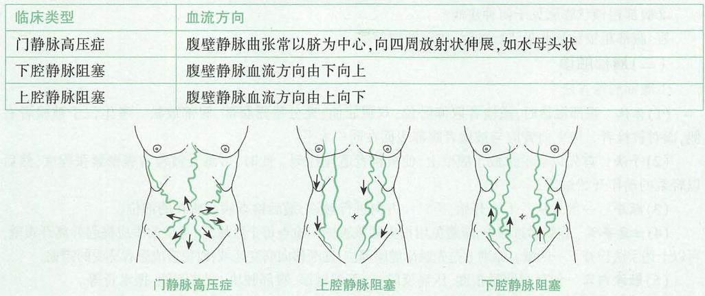 image-20250504152321377