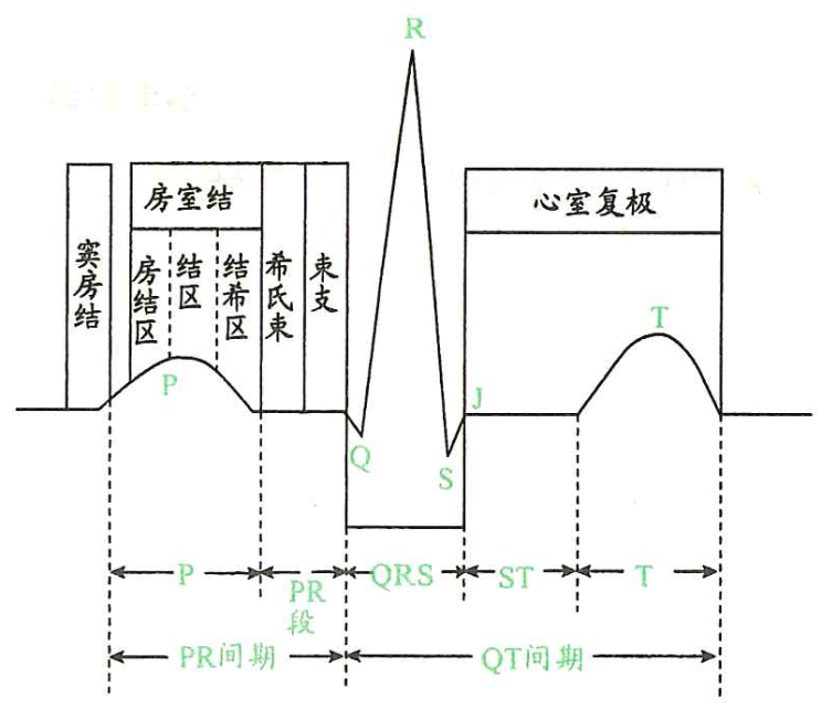 image-20250613160927725