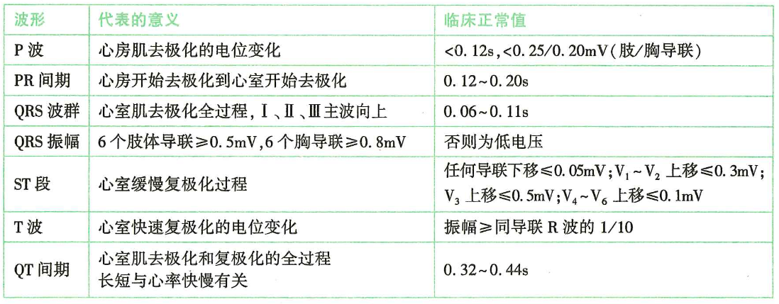 image-20250613161018705