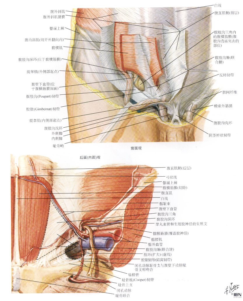 image-20250708204916928