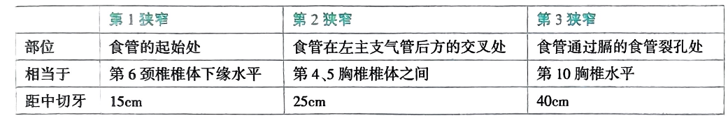 image-20250708211150131