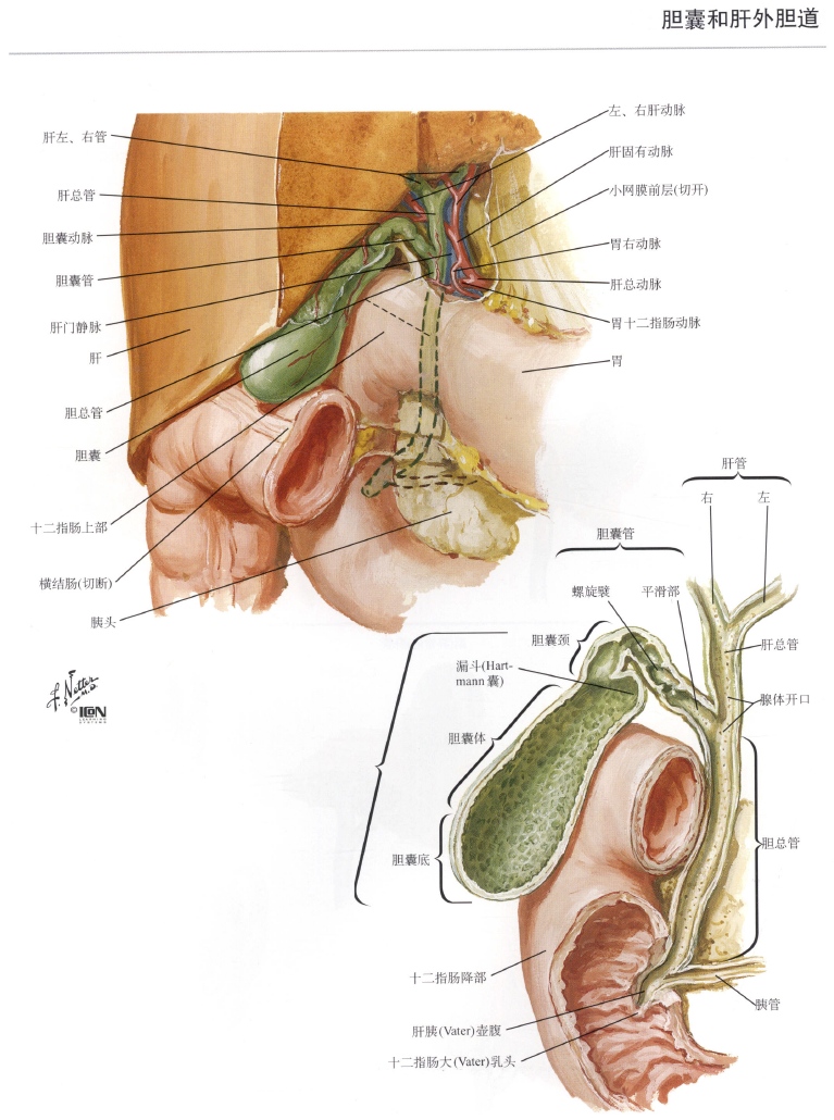 image-20250708213230270