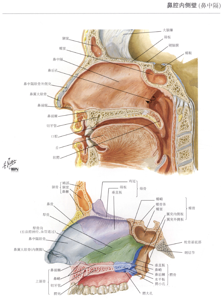 image-20250708214343958