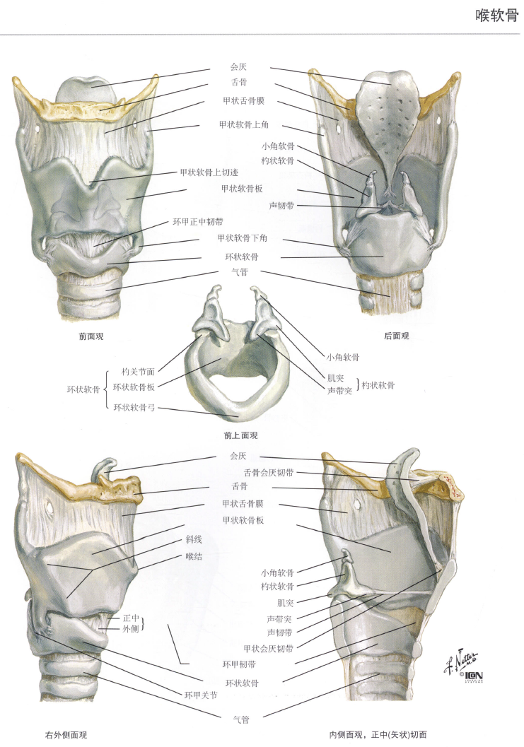 image-20250708215125185