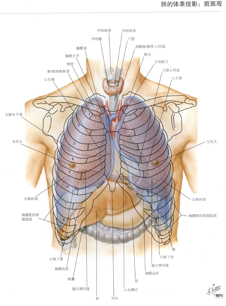 image-20250708215444876