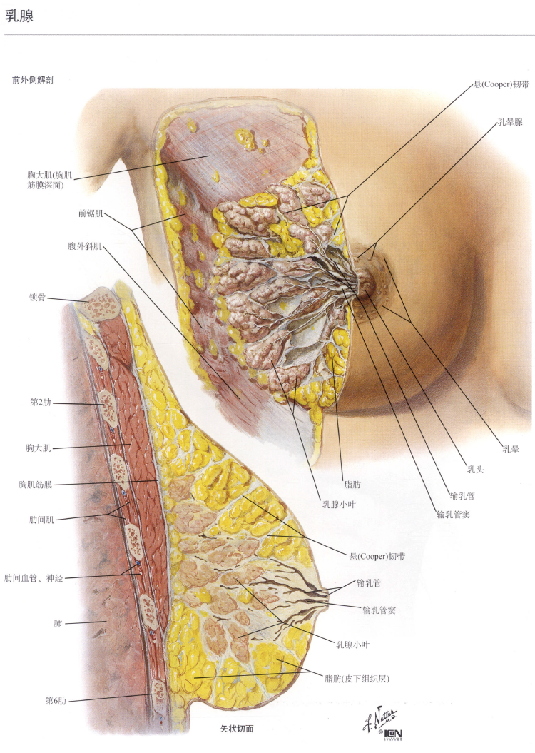 image-20250710131925285