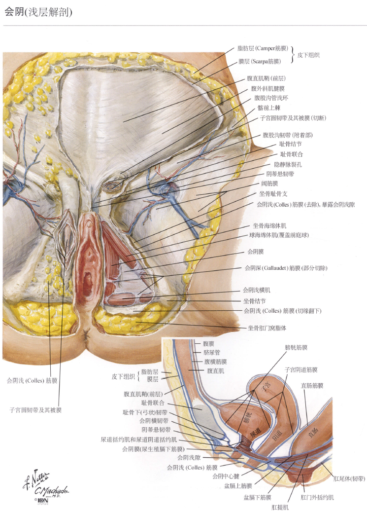 image-20250710132755181