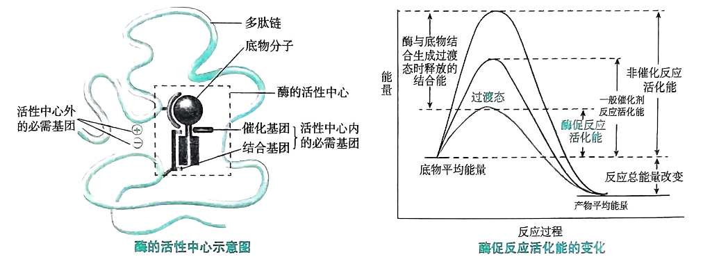 image-20250715213650882