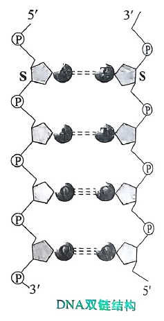 image-20250716115257593
