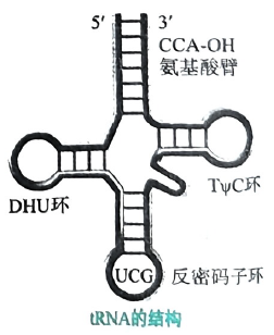 image-20250717213043273